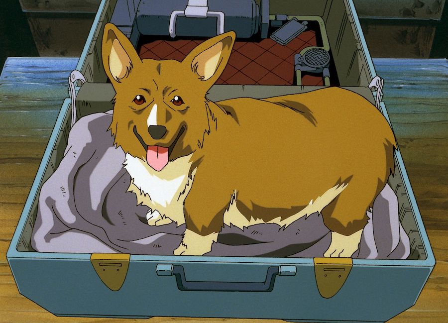 Ein from Cowboy Bebop