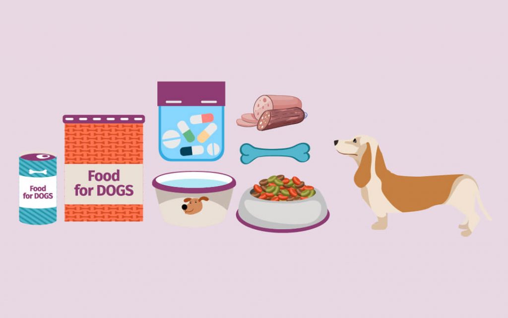 Essential Nutrients for Your Dog