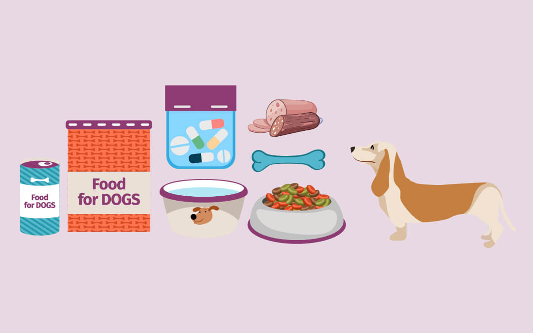 Complete Guide To Nutrition For Your Dog | Puplore