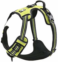 Expawlorer Hiking Harness – Best Harness for Active Dogs
