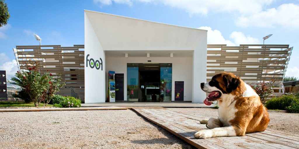 Foof Museum of the Dog