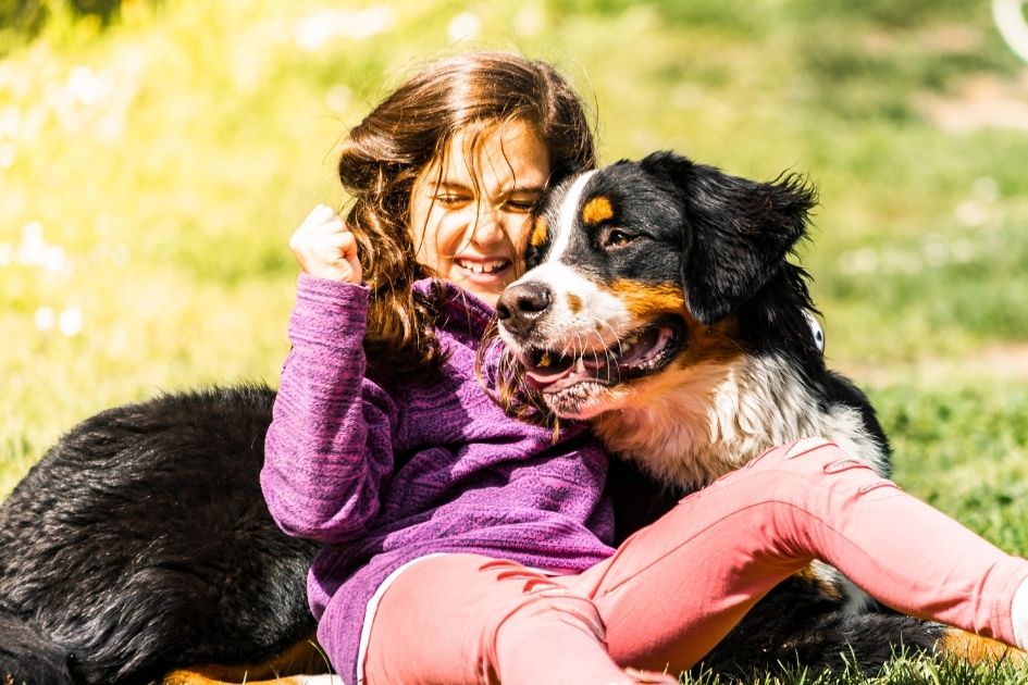 Friendly Dog with a Kid on the Field