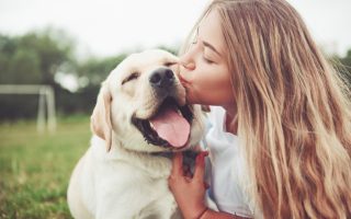 Owning a Labrador: Understand the Pros and Cons