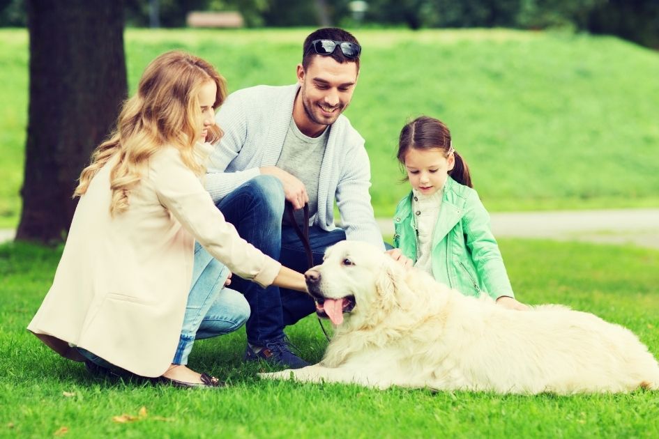 Happy Family in Park with Dog