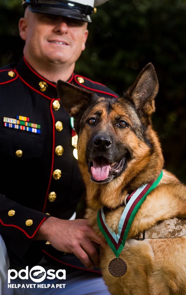 Hero Dog Lucca Protected Marines from An IED Explosion