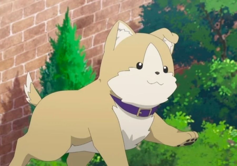 Hiroyuki Anime Dog from Kemono Michi