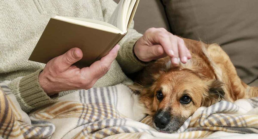 How Long Do Small Dogs Live Puplore how-long-do-small-dogs-live-puplore