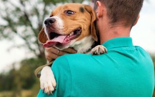 How To Bond With Your Dog – 15 Easy Ways