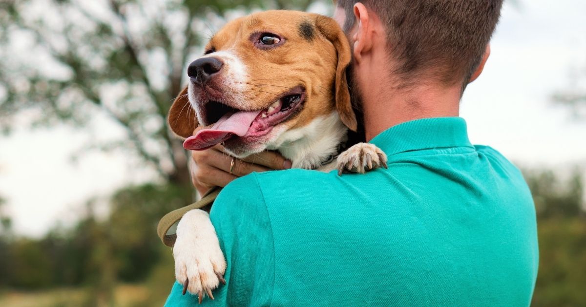 How To Bond With Your Dog Easy Ways to Build a Strong Bond