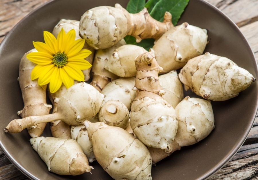 Jerusalem Artichokes with a Sunflower in a Bowl