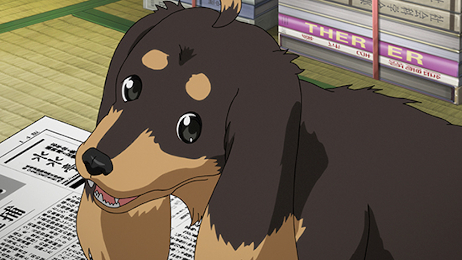 Kazuhito from Dogs and Scissors