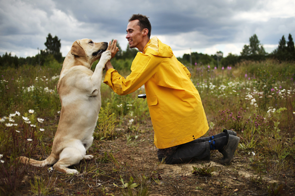Lab Training for Field Trials 8 Strategies That Work Puplore
