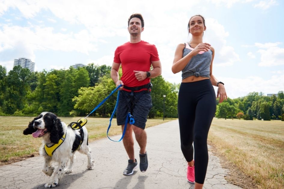 Man and Woman in Park Exercising with Dog