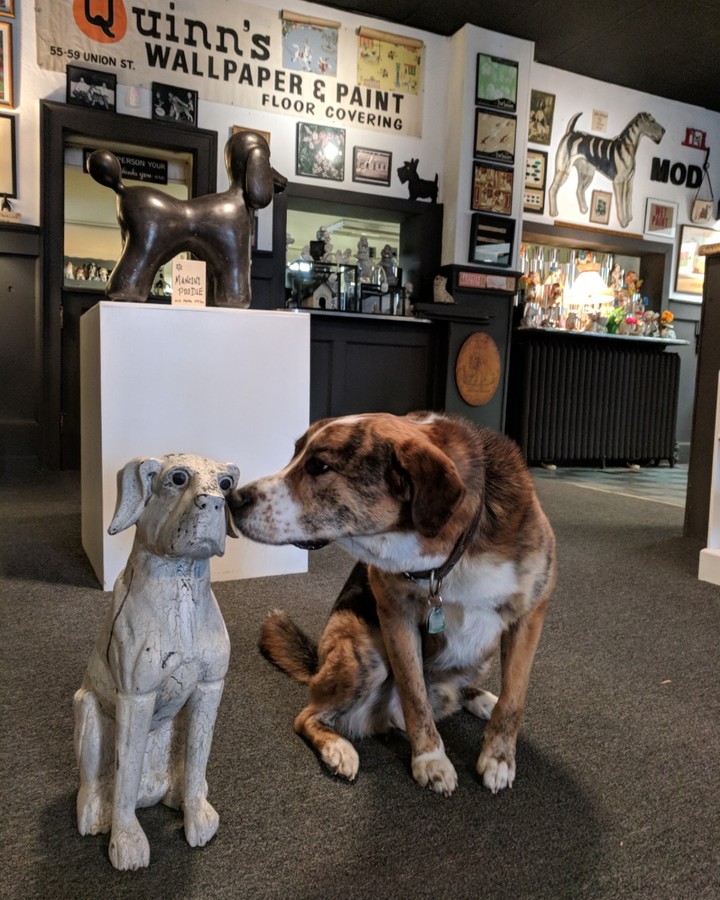 Museum of Dog - North Adams Massachusetts