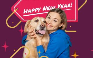 12  New Year Resolutions for Responsible Dog Owners