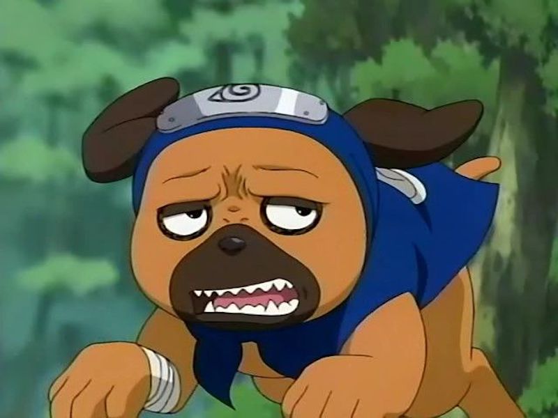 Pakkun (from Naruto)