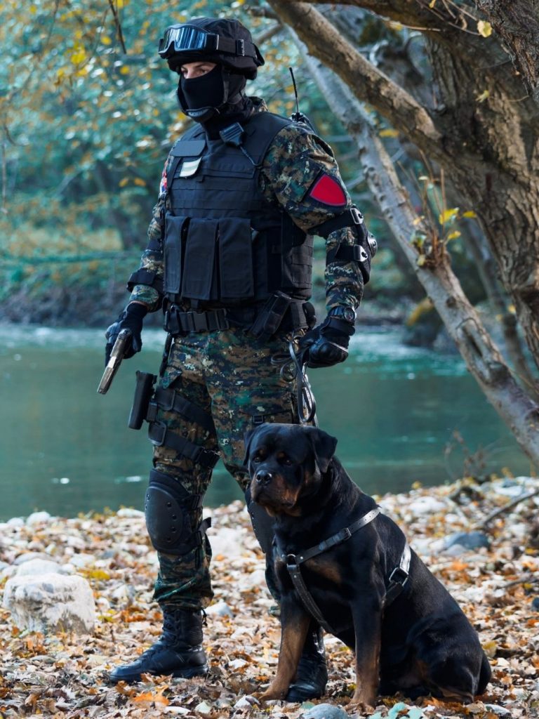 Police Officer with Rottweiler Dog on Duty