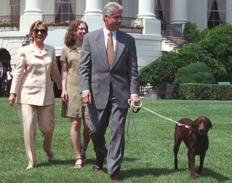 Chocolate Labrador Buddy being walked by the Clintons on the White House lawn in 1998
