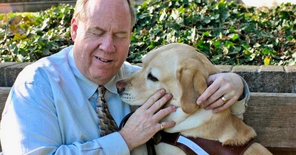 10 RealLife Heroic Dogs Who Saved The Day Puplore