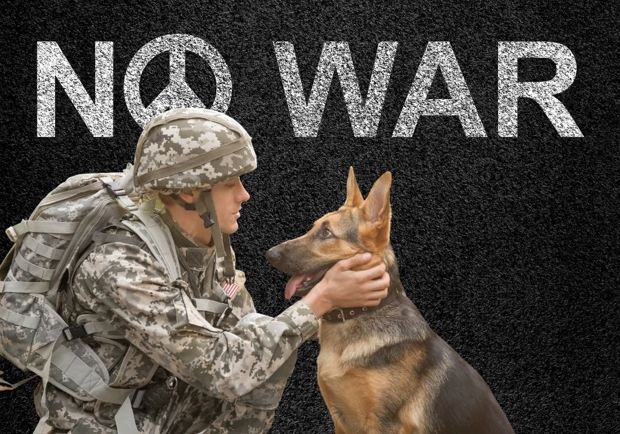 Say No to War - Soldier and Military Working Dog