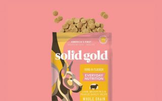 Is Solid Gold Dog Food Good? (2023 Review)