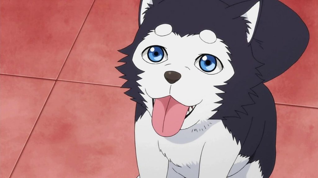 10 Strongest Canines In Anime Ranked