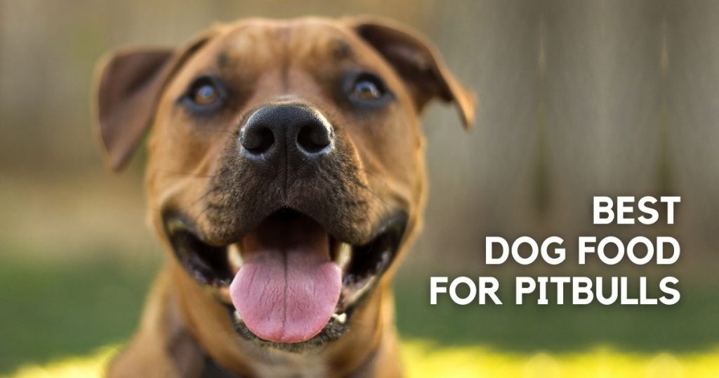 The Best Dog Food For Pitbulls (Reviews & Buying Guide)