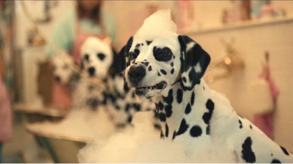 The Dalmatians in Cruella