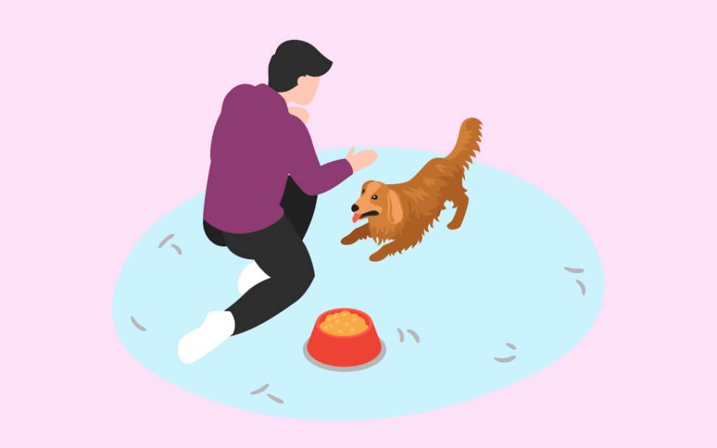 The Importance of Training Your Puppy