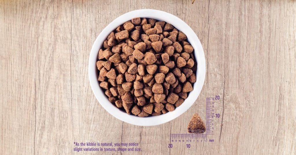 Wellness Core Dog Food Reviews 2023 Puplore