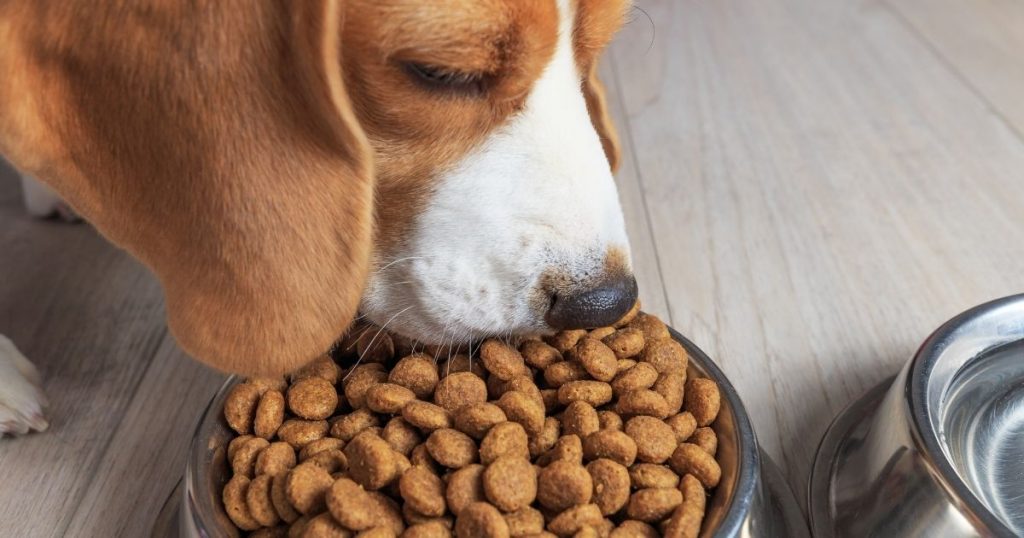 AAFCO Approved Dog Food Here's What It Means Puplore