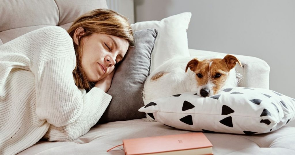 Why Do Dogs Sleep With Their Bum Facing You? | Puplore