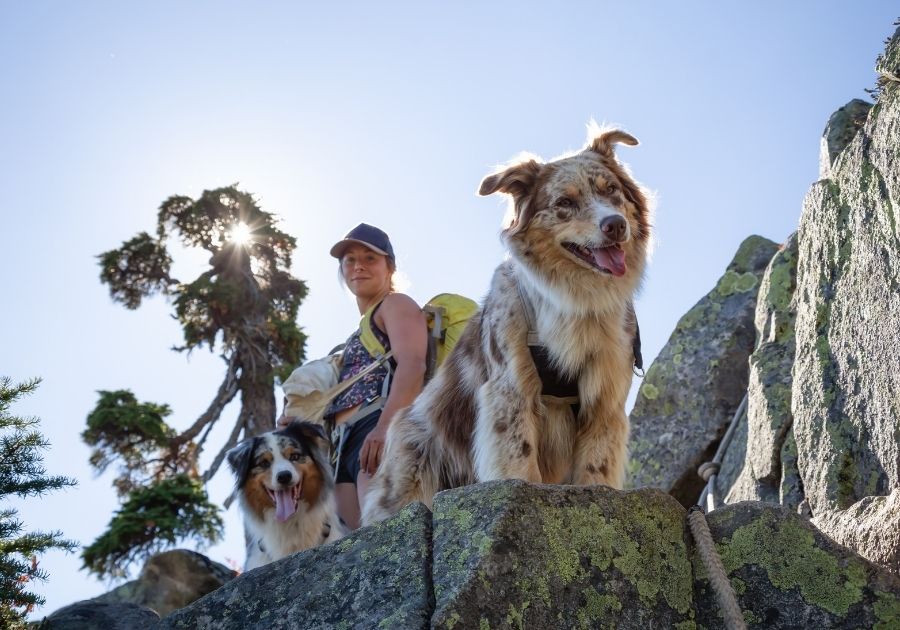 Woman Hiking with Dogs