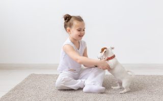 How To Train A Lab Puppy – Puppy Training Informative Guide