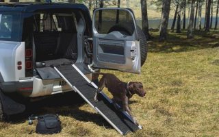 5 Best Dog Ramp for Jeep in 2022 (In-depth Reviews)