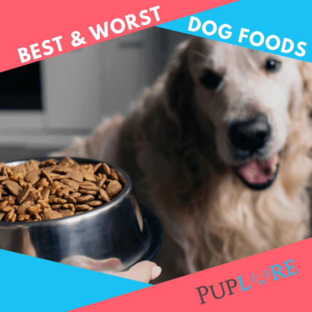 16 Worst Dog Food Brands to Avoid in 2020 [+16 Top Choices]
