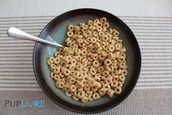 Feed your pup dry Cheerios as snacks