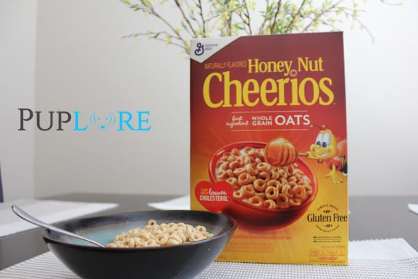 Can Dogs Eat Honey Nut Cheerios?