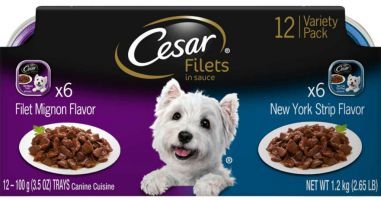 Cesar Filets worst dog food brand