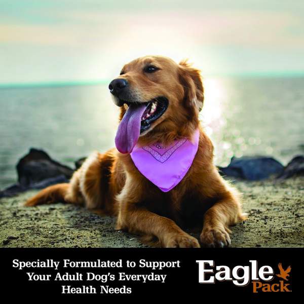 Eagle Pack Dog Food Reviews