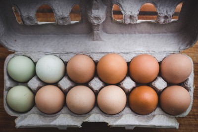 Cooked eggs are OK for Labs to eat