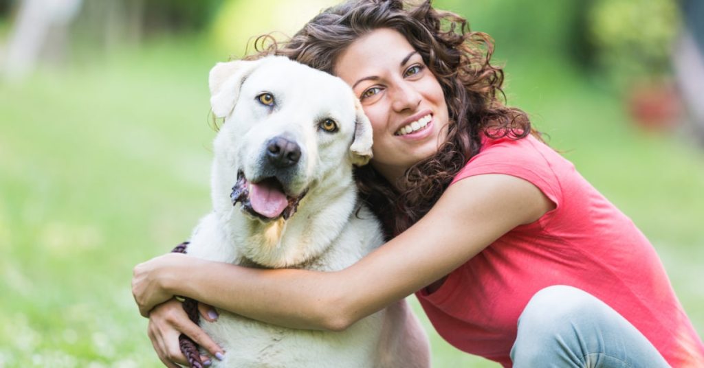 Smelly Lab: How to Eliminate Odors and Smells | Puplore