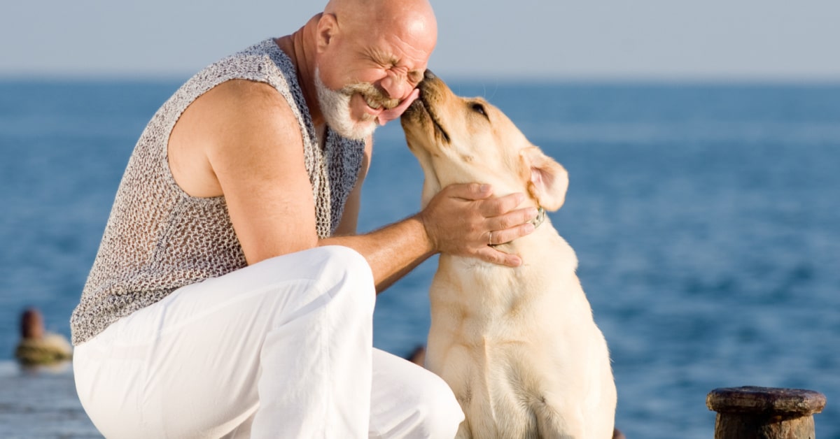 tips on how to teach your dog to kiss