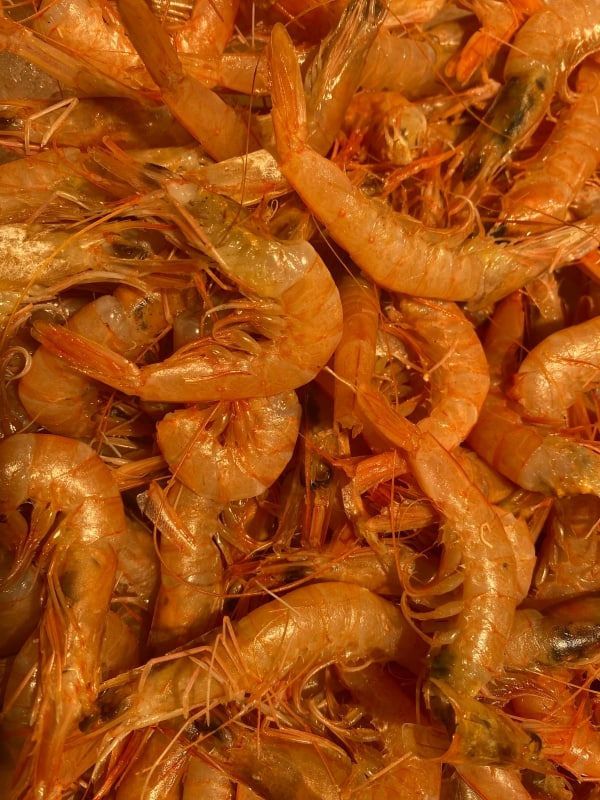 Large amount of shrimp