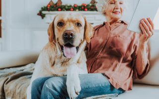 When Do Labs Mature? – A Quick Guide to Labrador Maturity